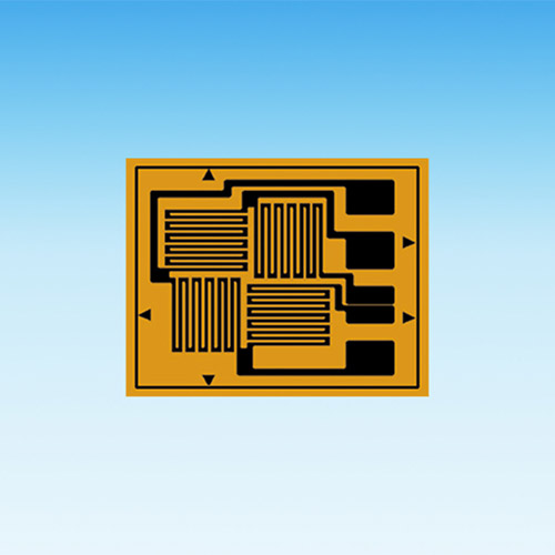 多轴电阻应变计